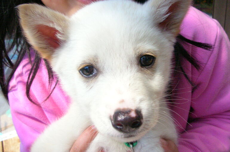 DSCN1422