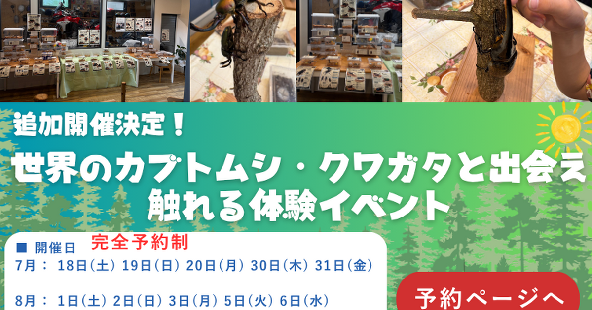カブトムシコースター