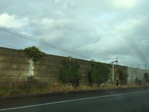 IMG_0208