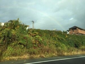 IMG_0213