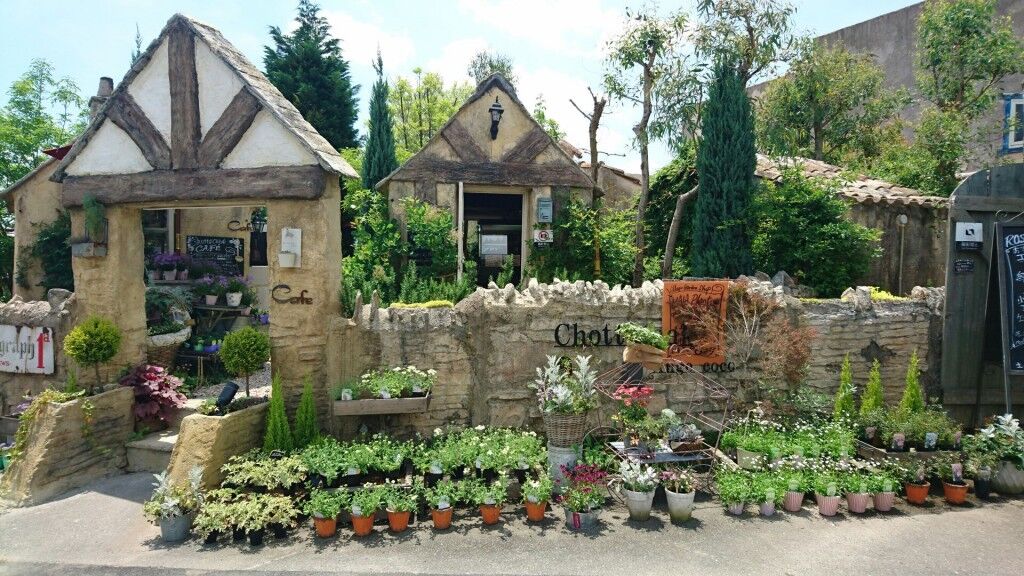 1465531869653